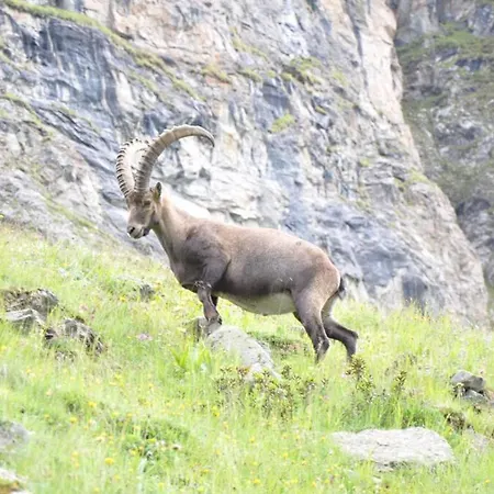 木屋 3 A Sarreyer, Proche Verbier Sarreyer