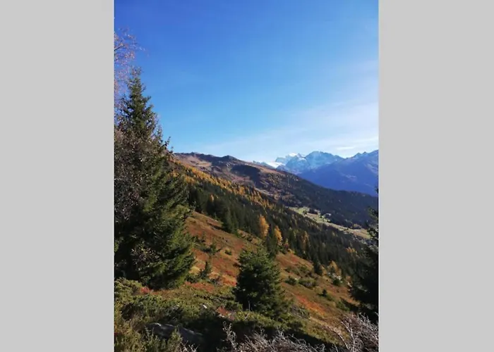 3 A Sarreyer, Proche Verbier Alpstuga Sarreyer