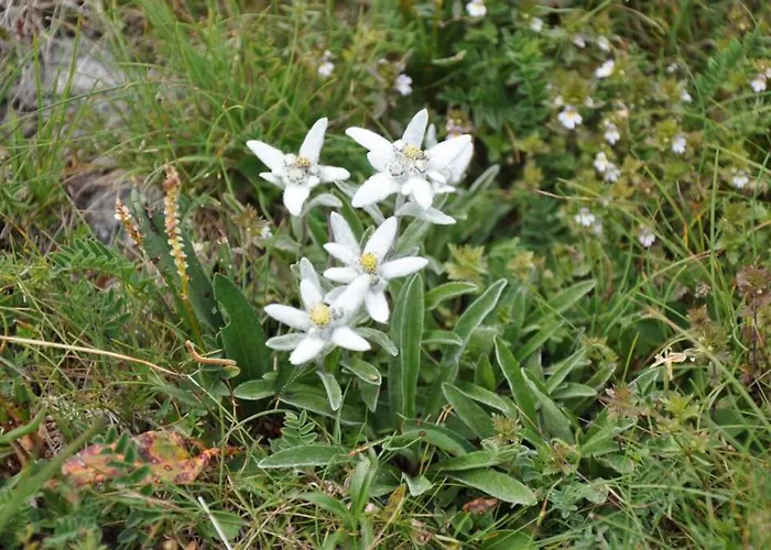Alpstuga 3 A Sarreyer, Proche Verbier Sarreyer
